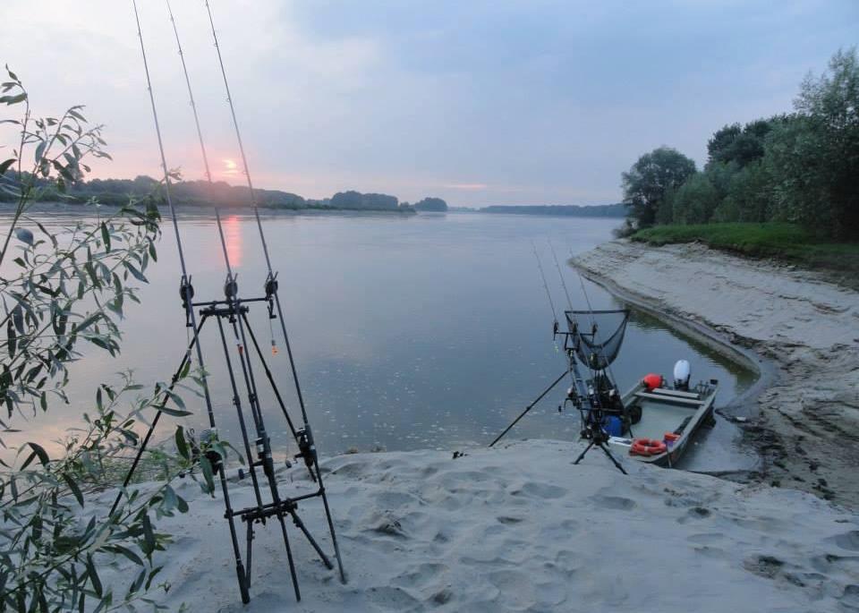 carp - 12608535962442404395631512140563n.jpg